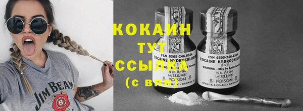 ГАЛЛЮЦИНОГЕННЫЕ ГРИБЫ Алексин